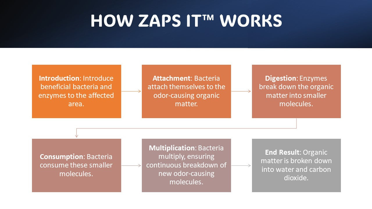 Zaps It Concentrate Natural Pet Professional Bio-enzymatic Odor Eliminator & Stain Remover (1 Gallon)