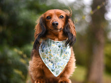Load image into Gallery viewer, "Mama's Boy" Dog Bandana