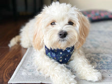 Load image into Gallery viewer, "Mama's Boy" Dog Bandana