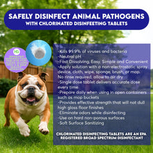 Load image into Gallery viewer, Klean Guard Pro-X Sprayer (unit only)