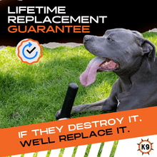 Load image into Gallery viewer, Chew Stick