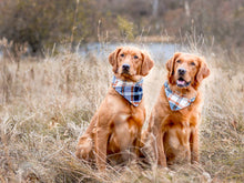 Load image into Gallery viewer, "Mama's Boy" Dog Bandana