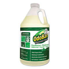OdoBan® Concentrated Odor Eliminator & Disinfectant, Eucalyptus, 1 gal Bottle, 4/Carton